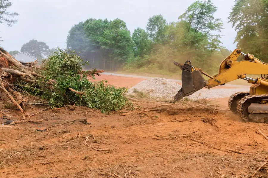 Affordable Land Clearing Plant City FL