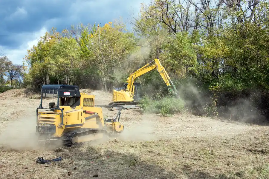 Experienced Land Clearing Plant City FL