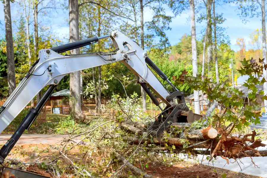 Professional Land Clearing Plant City FL